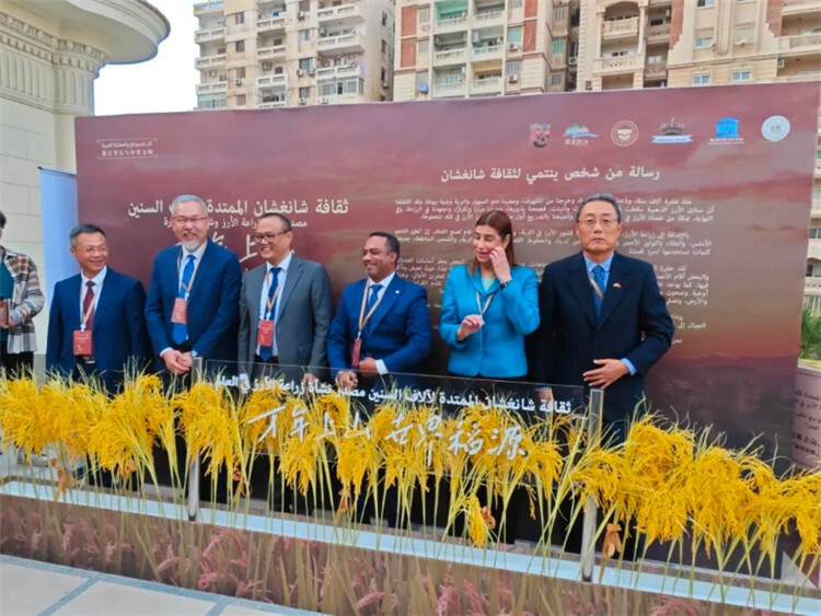 上山文化考古特展在埃及亚历山大市举办