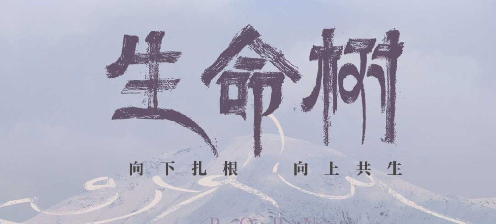 《生命树》定档1月30日 杨紫胡歌用生命守护生命